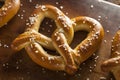 Homemade Soft Pretzels with Salt Royalty Free Stock Photo