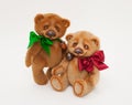 Two cute soft toys Teddy bear on white