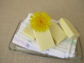 Homemade solid body butter bars with dandelion flower oil