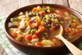 Homemade soup with ground beef and vegetable mix close-up in a b Royalty Free Stock Photo