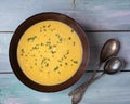 Homemade soup-mashed vegetables on mushroom broth in a deep dish and tablespoons Royalty Free Stock Photo