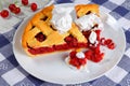 Homemade sour cherry pie on plate Royalty Free Stock Photo