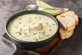 Homemade sour chicken soup with sour cream and vegetables closeup in a bowl. Horizontal Royalty Free Stock Photo