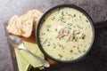 Homemade sour chicken soup with sour cream and vegetables closeup in a bowl. Horizontal top view Royalty Free Stock Photo