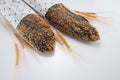 Homemade sourdough bread baguette in packet and wheat isolated on white background Royalty Free Stock Photo