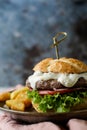 Cheeseburger on plate with french fries