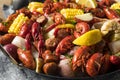 Homemade Southern Crawfish Boil Royalty Free Stock Photo