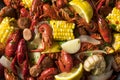 Homemade Southern Crawfish Boil Royalty Free Stock Photo