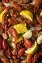 Homemade Southern Crawfish Boil Royalty Free Stock Photo