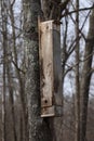 flying squirrel nesting box Royalty Free Stock Photo