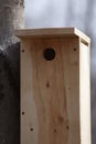 flying squirrel nesting box Royalty Free Stock Photo