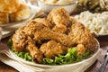 Homemade Southern Fried Chicken Royalty Free Stock Photo