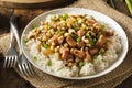 Homemade Southern Hoppin John Royalty Free Stock Photo