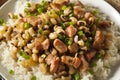 Homemade Southern Hoppin John Royalty Free Stock Photo