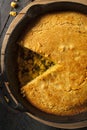 Homemade Southern Style Cornbread Royalty Free Stock Photo
