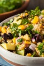 Homemade Southwestern Mexican Quinoa Salad