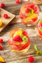 Homemade Sparkling White Wine Sangria Royalty Free Stock Photo