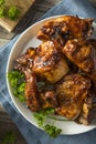 Homemade Spicy Barbecue BBQ Chicken Royalty Free Stock Photo