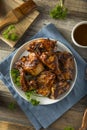 Homemade Spicy Barbecue BBQ Chicken