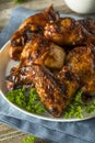 Homemade Spicy Barbecue BBQ Chicken Royalty Free Stock Photo