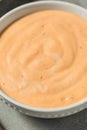 Homemade Spicy Chipotle Mayo Spread Royalty Free Stock Photo