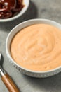 Homemade Spicy Chipotle Mayo Spread Royalty Free Stock Photo
