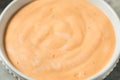 Homemade Spicy Chipotle Mayo Spread Royalty Free Stock Photo