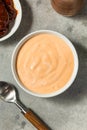 Homemade Spicy Chipotle Mayo Spread Royalty Free Stock Photo
