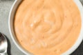 Homemade Spicy Chipotle Mayo Spread Royalty Free Stock Photo