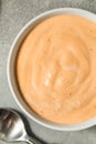 Homemade Spicy Chipotle Mayo Spread Royalty Free Stock Photo