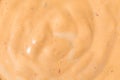 Homemade Spicy Chipotle Mayo Spread Royalty Free Stock Photo