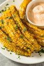 Homemade Spicy Corn Ribs Royalty Free Stock Photo