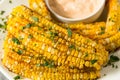 Homemade Spicy Corn Ribs Royalty Free Stock Photo