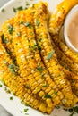 Homemade Spicy Corn Ribs Royalty Free Stock Photo