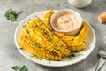 Homemade Spicy Corn Ribs Royalty Free Stock Photo