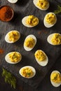 Homemade Spicy Deviled Eggs Royalty Free Stock Photo