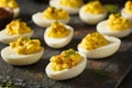 Homemade Spicy Deviled Eggs Royalty Free Stock Photo