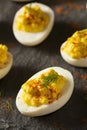 Homemade Spicy Deviled Eggs Royalty Free Stock Photo