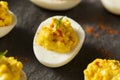 Homemade Spicy Deviled Eggs Royalty Free Stock Photo