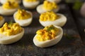 Homemade Spicy Deviled Eggs Royalty Free Stock Photo