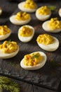 Homemade Spicy Deviled Eggs Royalty Free Stock Photo