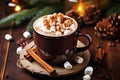 Homemade Spicy Hot Chocolate, Cinnamon, and Marshmallow