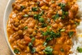 Homemade Spicy Indian Curry Lentils