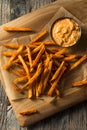 Homemade Spicy Mexican Nacho Fries