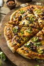 Homemade Spicy Mexican Taco PIzza Royalty Free Stock Photo