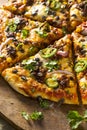 Homemade Spicy Mexican Taco PIzza Royalty Free Stock Photo