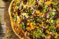 Homemade Spicy Mexican Taco PIzza Royalty Free Stock Photo