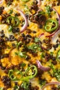 Homemade Spicy Mexican Taco PIzza Royalty Free Stock Photo