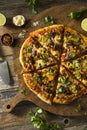 Homemade Spicy Mexican Taco PIzza Royalty Free Stock Photo