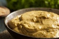 Homemade Spicy Mustard Sauce